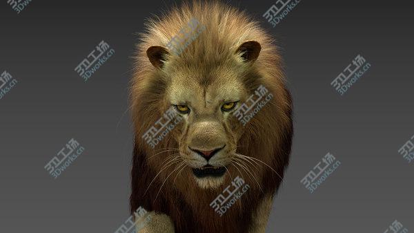 images/goods_img/20210312/Lion 3 (Fur) Animated 3D/3.jpg